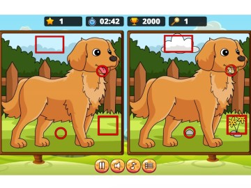 Dogs Spot The Differences