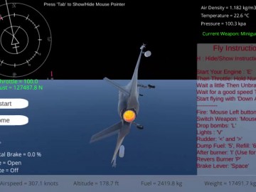 Fighter Aircraft Pilot